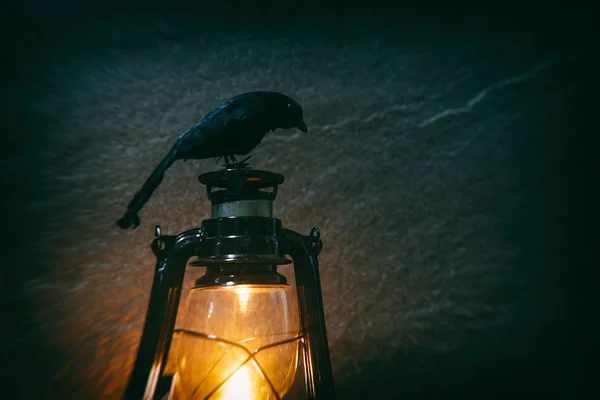 Crow ül egy régi lámpás fények éjjel és sötét háttérképet — Stock Fotó