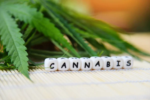 大麻は、木製の背景にマリファナ植物を残します - 麻の葉 — ストック写真