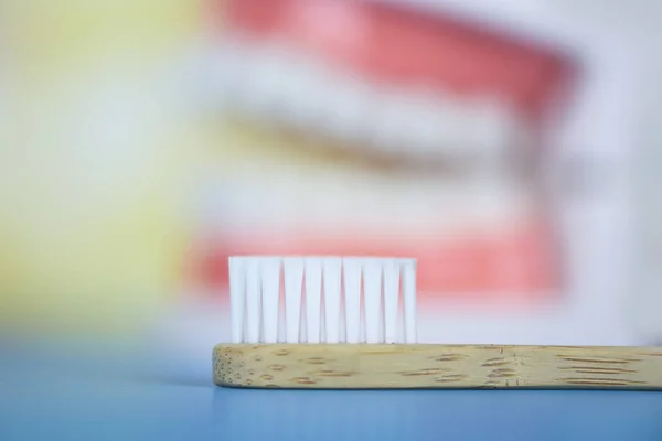 Cepillo de dientes de bambú y herramientas de dentista con prótesis dentales inst — Foto de Stock