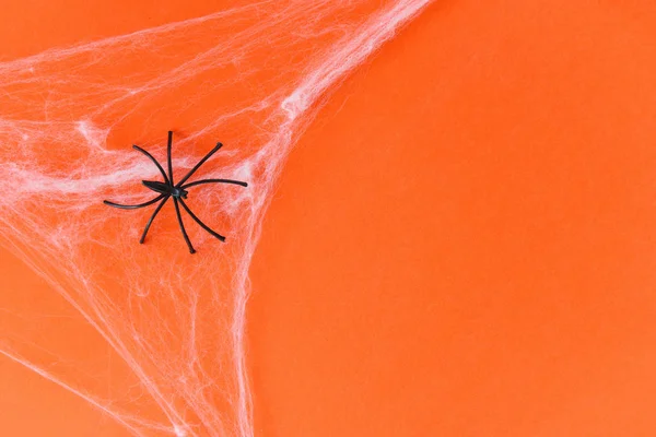 Halloween-Hintergrund mit Spinnennetz und schwarzer Spinne auf orange — Stockfoto