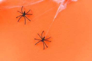 turuncu örümcek ağı ve siyah örümcek ile cadılar bayramı arka plan 