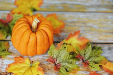 Şükran Günü arkaplan çerçevesi güz yaprağı süslemesi 