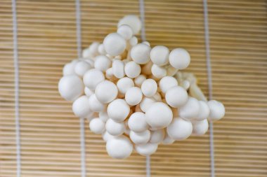 Ahşap zemin üzerinde yenebilir ya da beyaz kayın mantarları pişirmek için