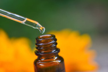 Aromaterapi bitkisel yağ şişeleri aroma damlaları camlara dökülür.