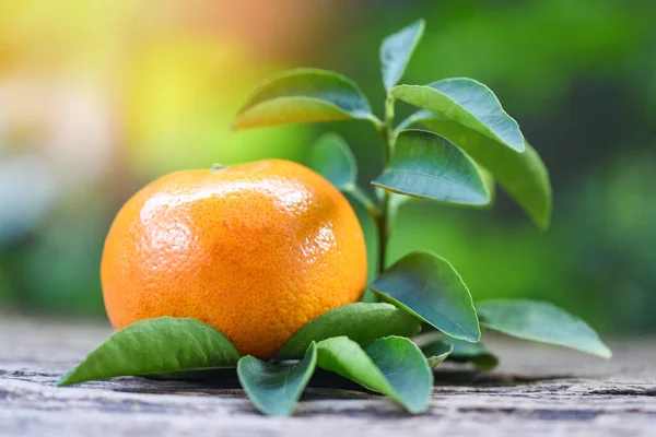 Yeşil bahçeli ahşap üzerinde portakal ve yaprak. — Stok fotoğraf