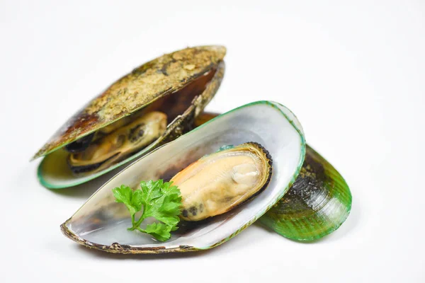 Mejillones aislados sobre fondo blanco - Cáscara de mejillón verde con p —  Fotos de Stock