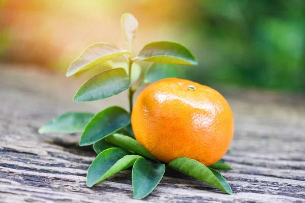 Orange frukt och blad på trä med grön trädgård bakgrund - H — Stockfoto