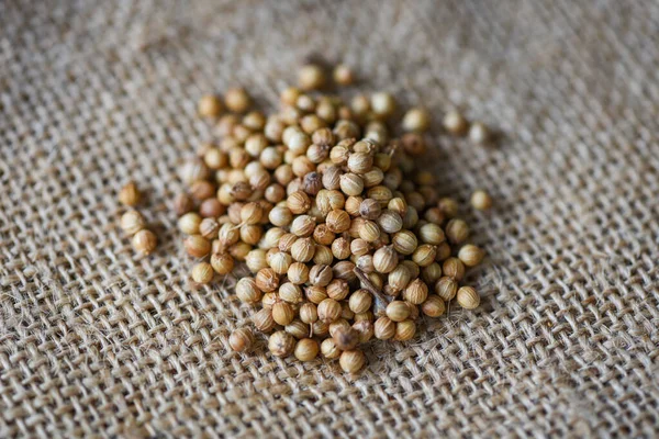 Coriander Seeds Dry Spices Herbs Dood Ingredients Sack — Stock Photo, Image