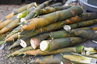 Bambu yığını, pazarda satılmak üzere doğa ormanından filizleniyor / Bambu Asya Tayland 'ı vuruyor