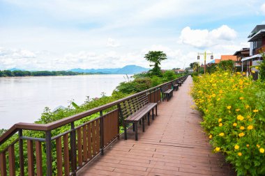 Sarı çiçek ve mavi gökyüzü olan ahşap bank nehir kenarı yürüyüş parkı / Mekong nehri Chiang Khan Loei Tayland