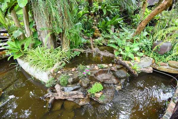 Wasserlauf Oder Kleiner Wasserfall Schmücken Vorgarten Naturgarten Mit Baumblüten Asiatischen — Stockfoto