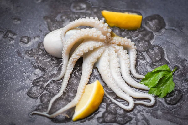 Fresh squids octopus or cuttlefish for cooked food salad restaurant / Raw squid on ice with lemon on the dark plate seafood market
