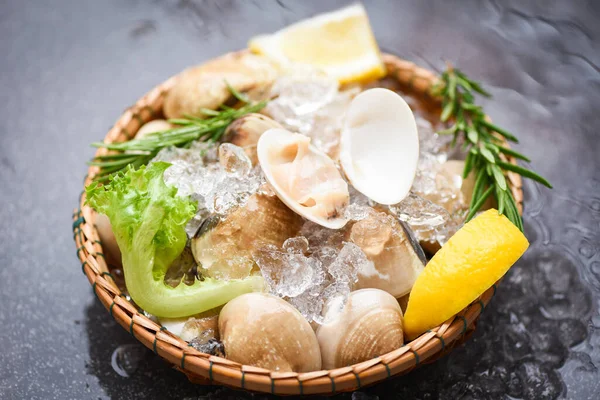 Seafood shellfish with ice frozen on basket / Fresh shell clam with herb ingredients for salad , enamel venus shell , saltwater clams