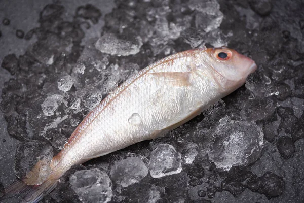 Fresh Fish Ice Market Sea Bream Seafood Fish Frozen — Stock Photo, Image