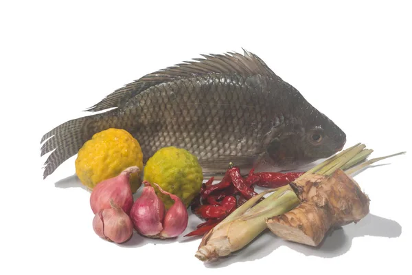 Pește Proaspăt Tilapia Befor Gătit — Fotografie, imagine de stoc