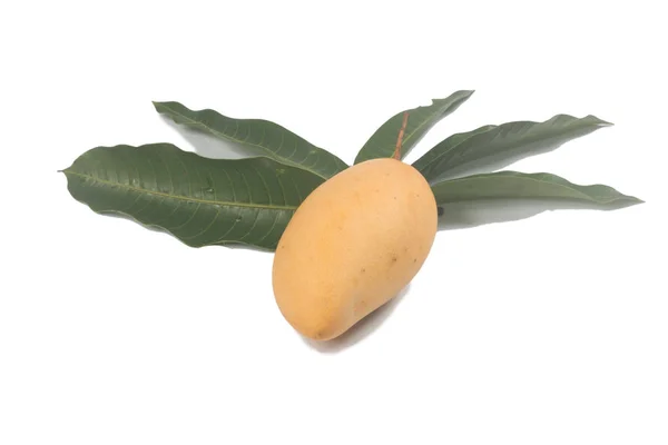 Gul Färsk Mango Och Blad — Stockfoto