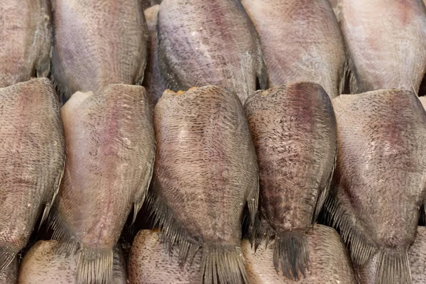 Trichogaster Pectoralis Pescado Alimentos Frescos Cerca —  Fotos de Stock