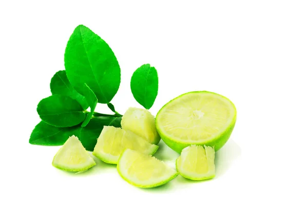 Citron Zelené Listy Izolovat Pozadí — Stock fotografie