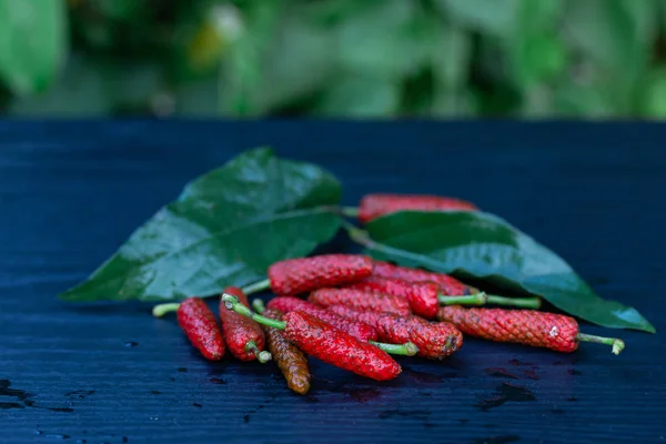 Long Pepper, Indian long pepper, Javanese long pepper per is herbs with medicinal properties