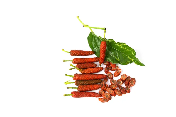 Long Pepper, Indian long pepper, Javanese long pepper per is herbs with medicinal properties