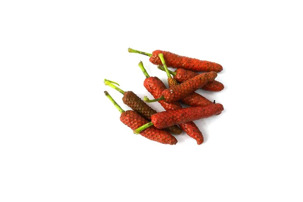 Long Pepper Indian Long Pepper Javanese Long Pepper Herbs Medicinal — Stock Photo, Image