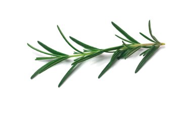 beyaz zemin üzerinde izole biberiye yaprakları