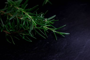 Biberiye yaprakları üzerinde izole siyah arka plan