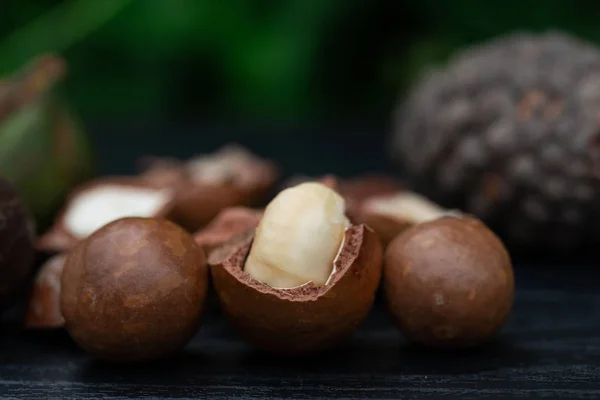 Buah Macadamia Dengan Bunga Pinus — Stok Foto