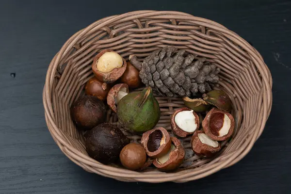 Macadamia Fruit Met Bloemen Van Den — Stockfoto