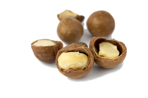 Macadamia Fructe Izolate Fundal Alb — Fotografie, imagine de stoc