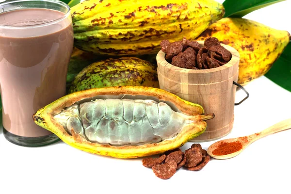 Fresh cacao fruit with cocoa crunch (Products Production from cacao)