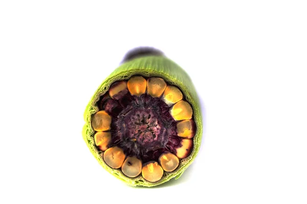 Świeży Purpurowej Kukurydzy Ogrodu — Zdjęcie stockowe