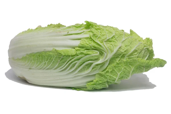 在白色背景查出的大白菜蔬菜 — 图库照片