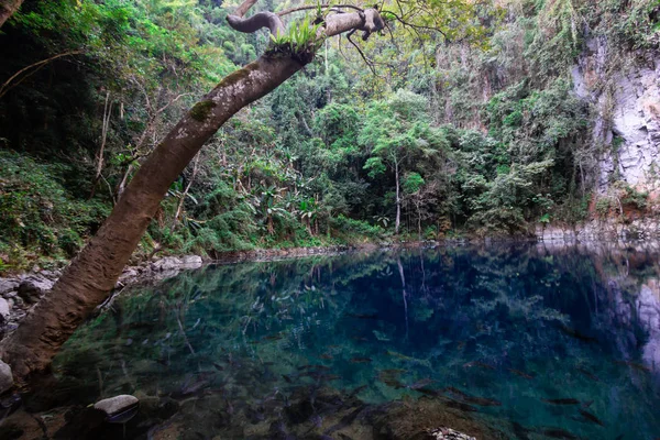 Fuente Natural Curso Subterráneo Agua Cráter Hermosa Como Verde Esmeralda — Foto de Stock