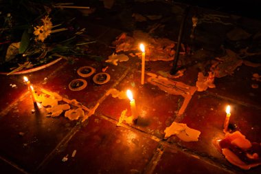 Mum çiçeği Budizm dünyaca Bucha gün Buda tapınma için ile parlak