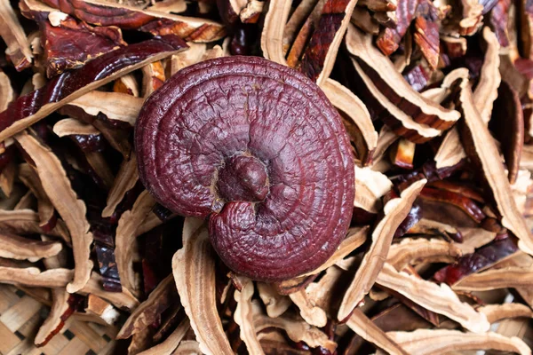 Kurutulmuş Reishi mantar yapmak bir ilaç önce