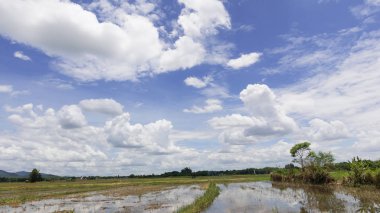 Güzel dağ manzaralıdır Kuzey Tayland güzel bir bulut