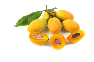 Thai meyveli akçaağaç veya Marian eriği 