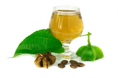 Sacha Inchi, çay ile sacha-Inchi fıstık taze kapsül tohumları meyve 