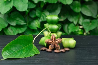 Sacha Inchi, taze kapsül tohumu sacha-Inchi fıstık meyve 