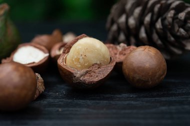 Yeşil yaprak arka plan izole çam Çiçekleri ile Macadamia meyve