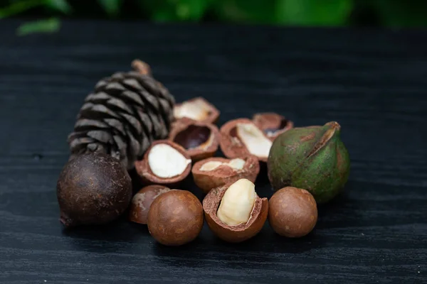 Macadamia Fruit Met Bloemen Van Pine Geïsoleerd Groene Blad Achtergrond — Stockfoto