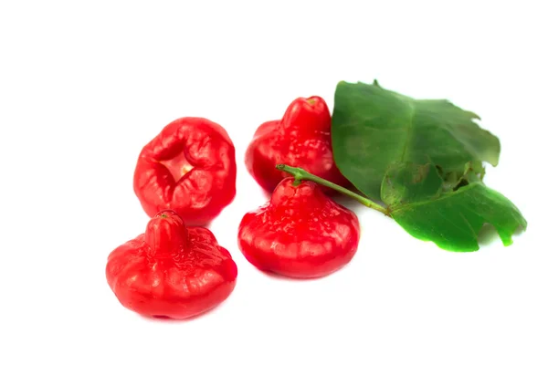 Färska Rose Apple Frukt — Stockfoto