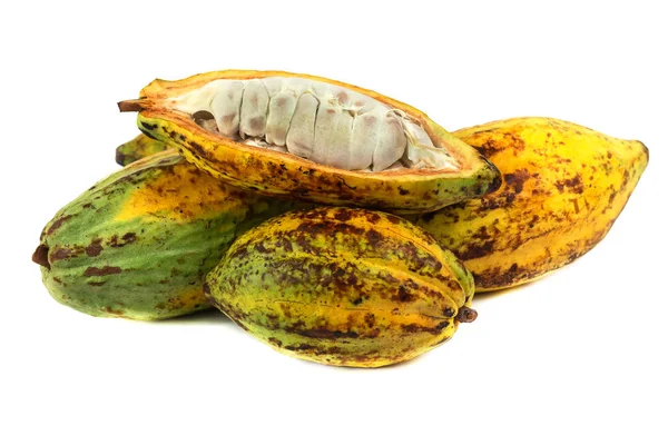 Fresh Cacao Fruit Cocoa Crunch Products Production Cacao — Stock Photo, Image