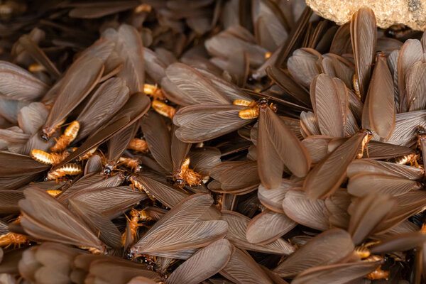 железнодорожные пути или железнодорожный тоннель в Таиланде
