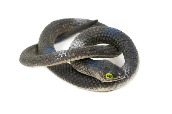 Serpente Plástico Preto Para Crianças Isoladas Sobre Fundo Branco — Fotografia de Stock