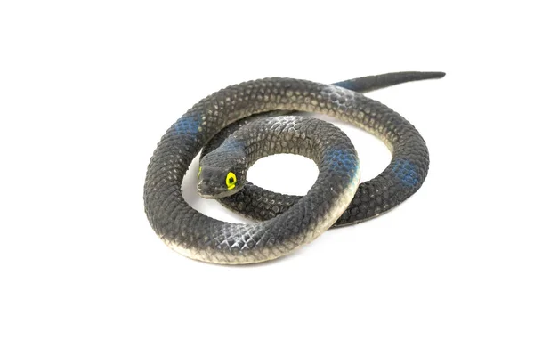 Serpent Plastique Noir Pour Les Enfants Isolés Sur Fond Blanc — Photo