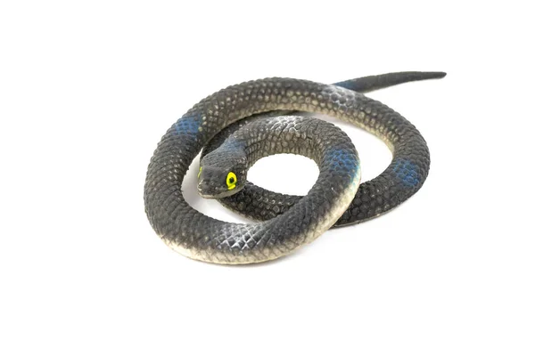 Serpiente Plástico Negro Para Niños Aislados Sobre Fondo Blanco — Foto de Stock