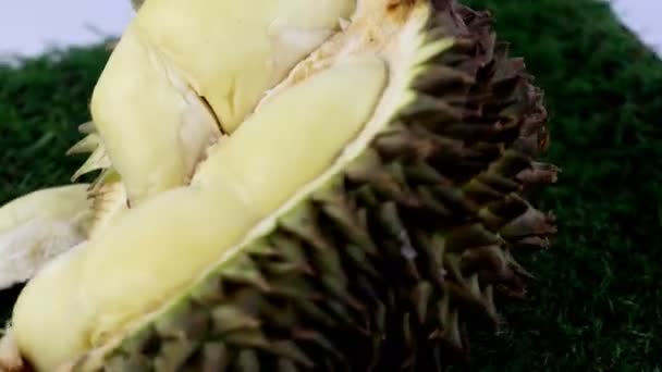 Vdo Clip Van Durian Fruit Beroemde Vruchten Uit Thailand — Stockvideo