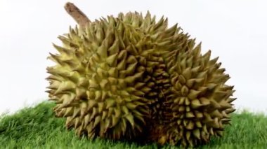 Tayland Durian meyve Ünlü meyve Vdo klip